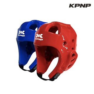 KPNP 대회